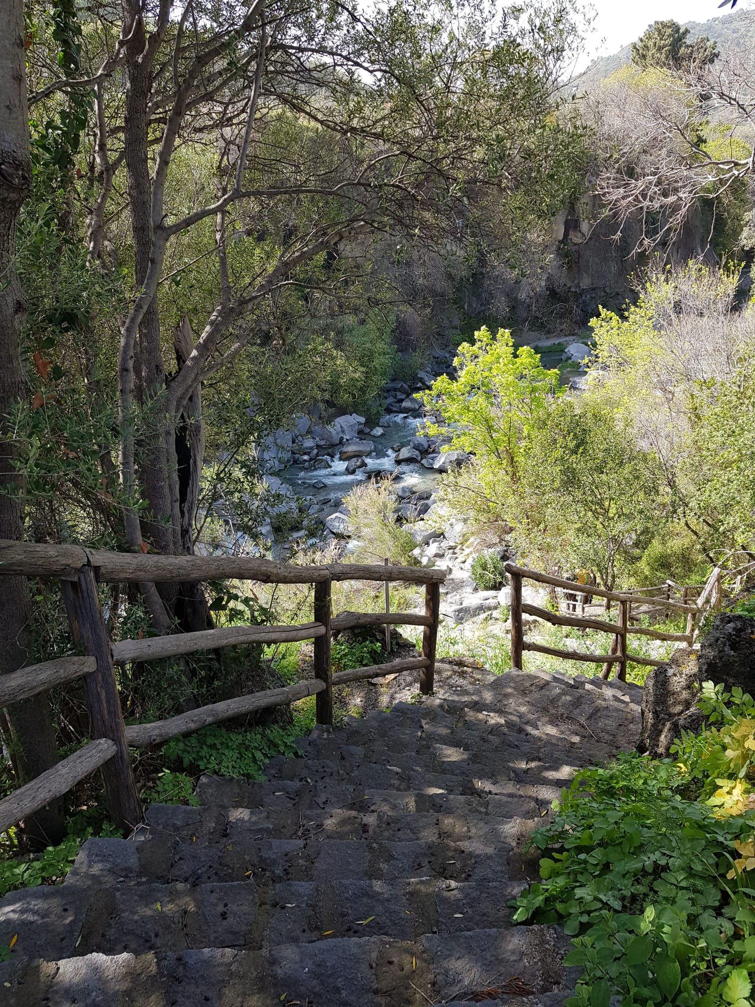Discesa al fiume